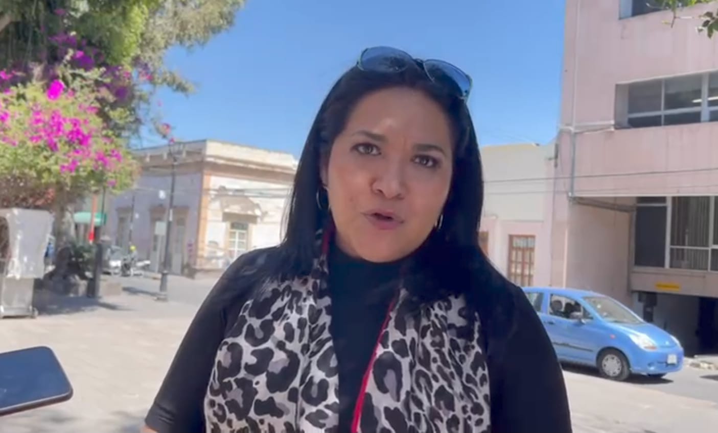 Urge diputada de SLP a centros comerciales a reforzar sus medidas de seguridad. Foto: Especial