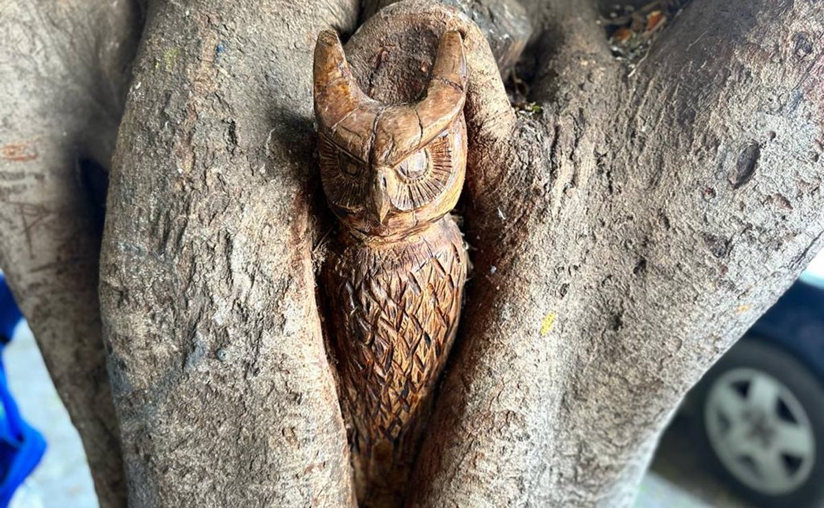 Potosino transforma árboles podados en esculturas de animales en Villa de Reyes