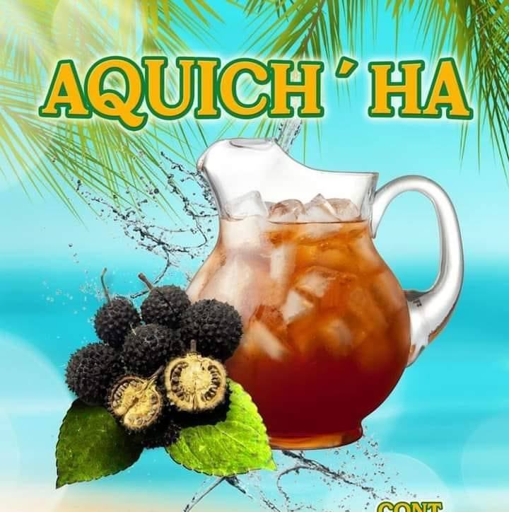 Con semilla de aquiche, estudiantes de Ciudad Valles. Foto: Especial