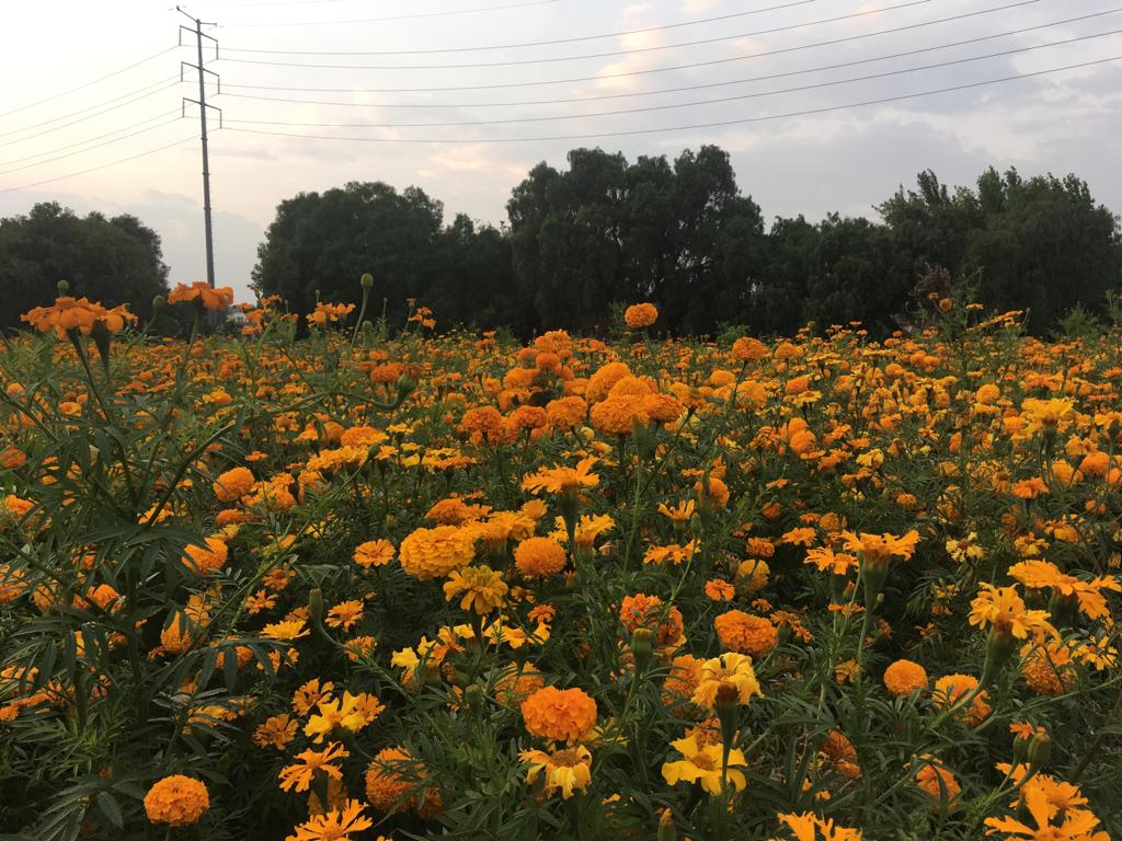 Foto: Regina Arellano