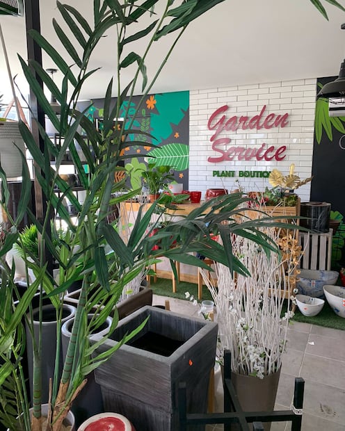 Vivero Garden Service en SLP. Foto: Fb@ Vivero Garden Service