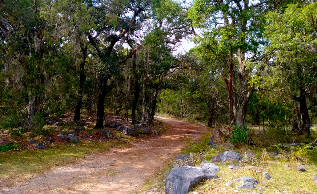 Gobierno busca “alternativas” para reponer protección a la Sierra de Álvarez