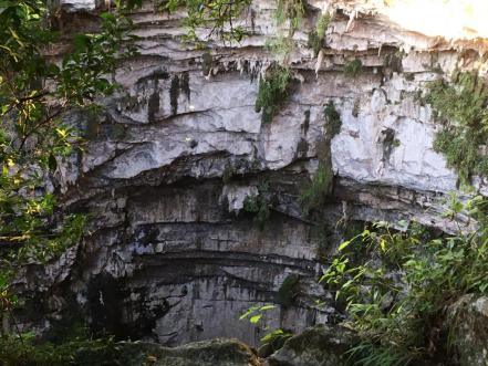 Sótano de las Golondrinas, un espectáculo natural majestuoso sólo en la Huasteca Potosina