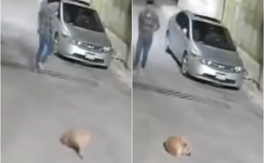 Foto: Captura de video