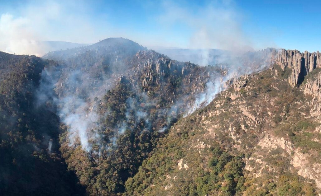 170 hectáreas afectadas por incendio en Sierra de San Miguelito