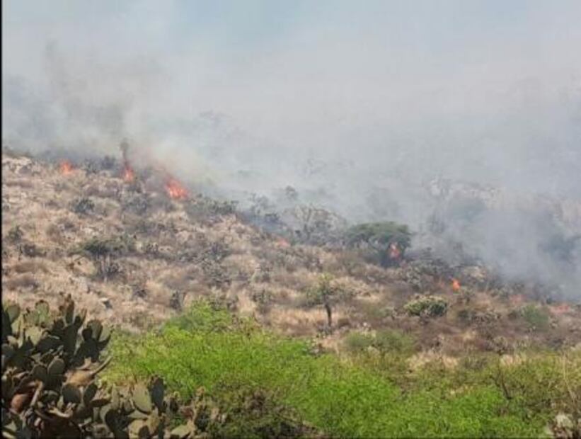 Reportan incendio forestal en el ejido Las Moras