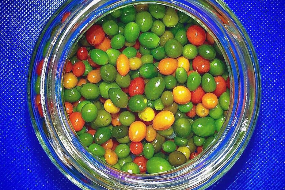 Foto: Fundación Tortilla.