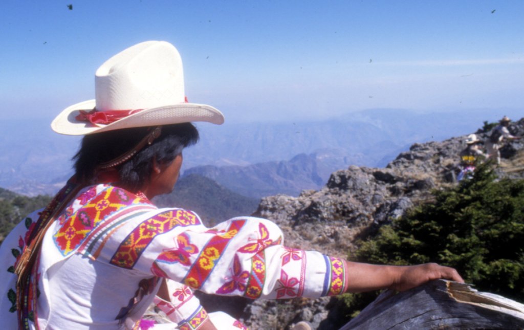 Lugar de la madera flotante o Cerro Gordo. Foto: @MiMuseoIndigena, X
