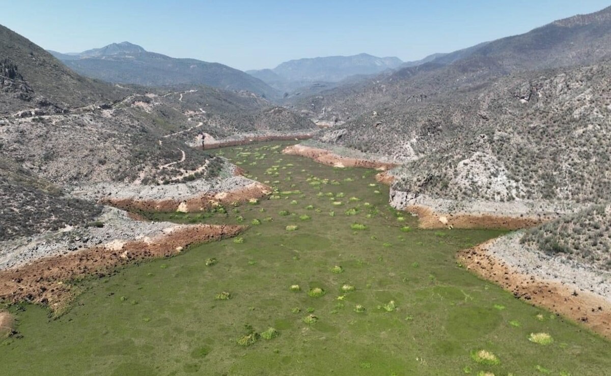 La sequía tiene a San Luis Potosí en estado crítico; ríos y presas agonizan 