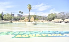 Rechaza Gallardo Cardona que parque acuático Dinoasis sea un negocio para beneficiar a privados