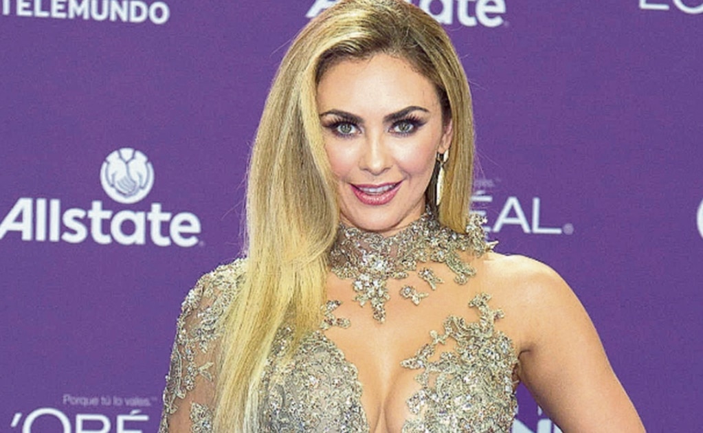 ¿Por qué Aracely Arámbula no aparecerá en la serie de Luis Miguel?