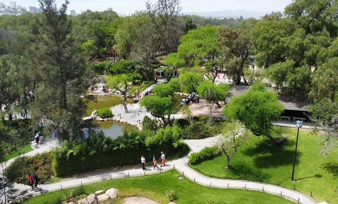 Actividades que puedes hacer en el parque Tangamanga I de SLP