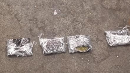 Aseguran dos paquetes de marihuana en aeropuerto de SLP