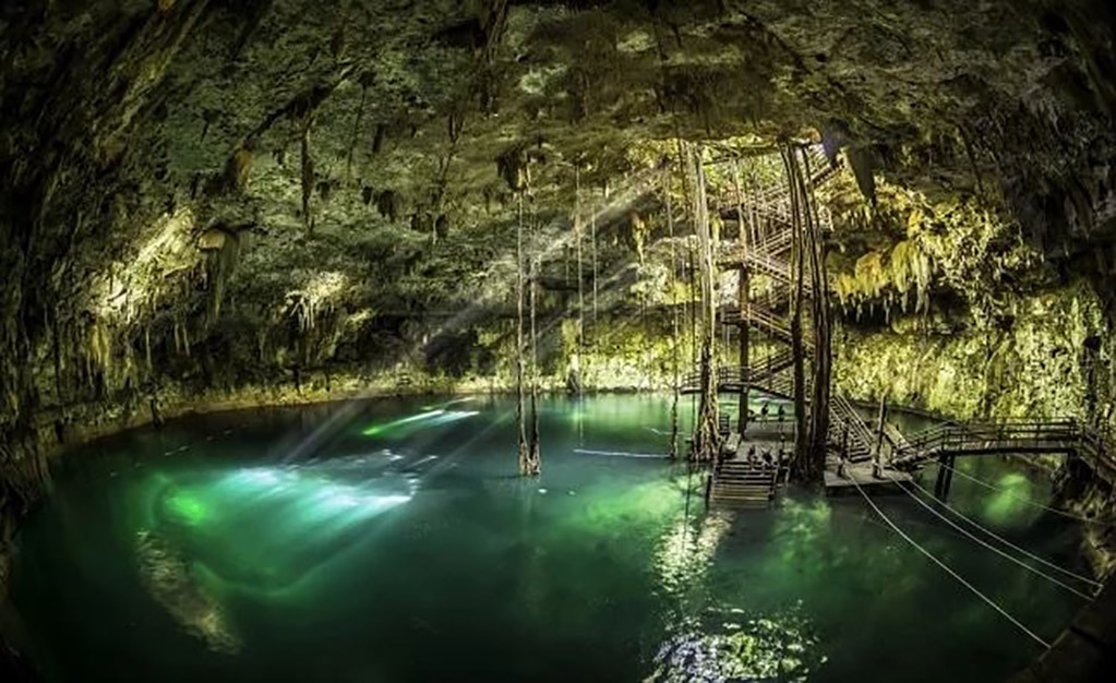 Foto: Cortesía Alltournative