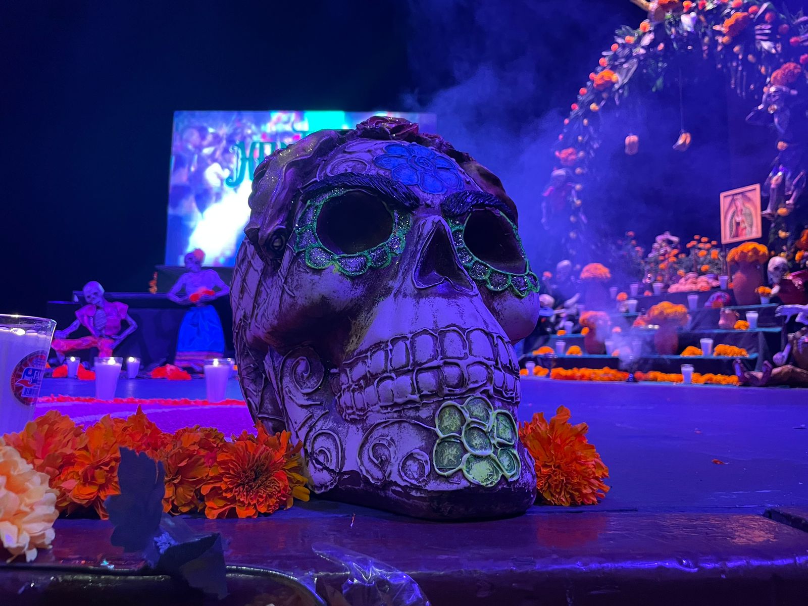 Marcha zombie y ciclo de cine de terror: Así celebrarán el Día de Muertos en Soledad