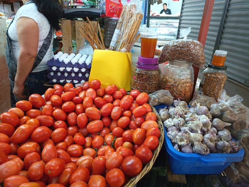 Foto: Jazmín Ramírez EL UNIVERSAL