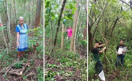 Crea UASLP jardín de plantas medicinales para proteger los remedios ancestrales de la Huasteca