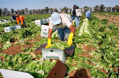 SLP, en el “top ten” en captación de remesas