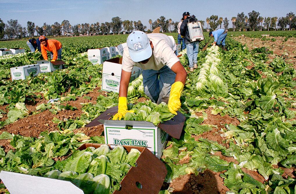 FOTO: Archivo. El Universal San Luis Potosí.