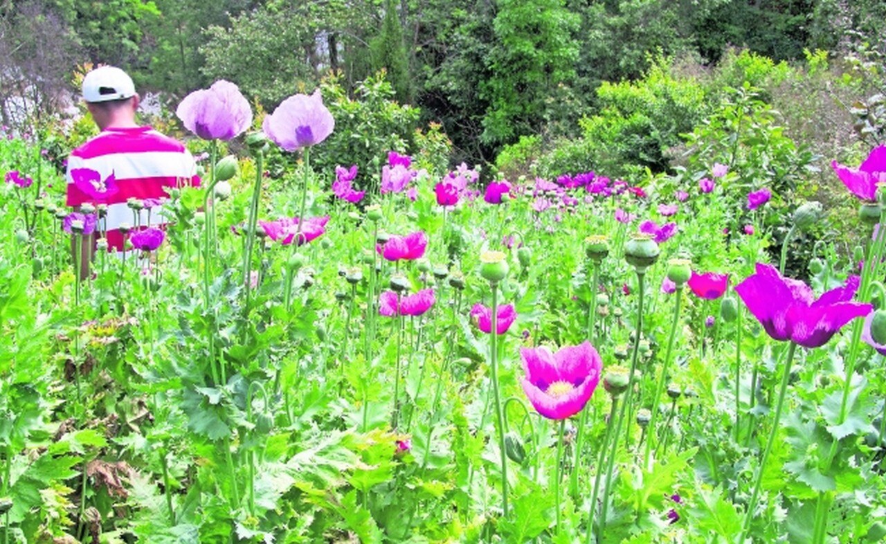 Foto: archivo/EL UNIVERSAL