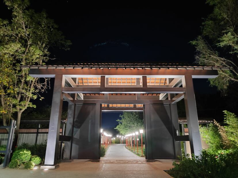 Foto: Regina Arellano