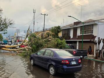 Fuertes lluvias provocan caída de árboles y caos vial en distintos puntos de la capital de SLP