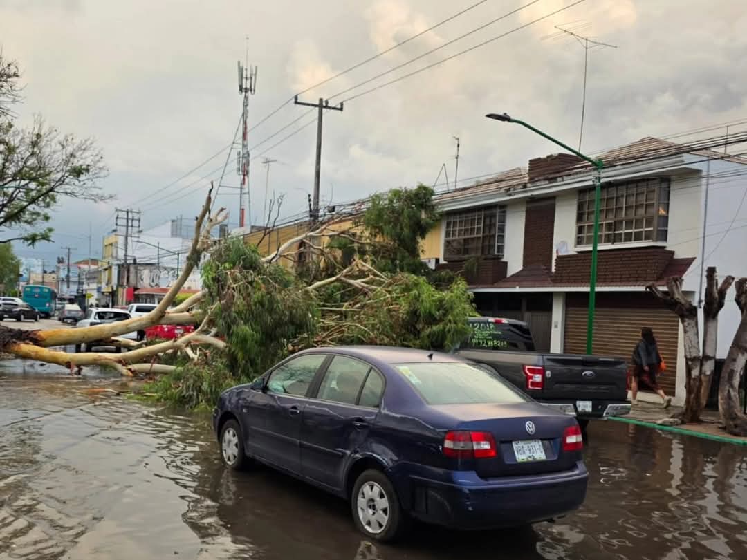 Fuertes lluvias provocan caída de árboles y caos vial en distintos puntos de la capital de SLP