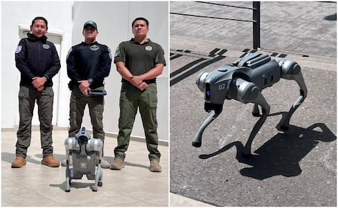 Perros robot de la Guardia Civil en SLP: así vigilan, exploran zonas de riesgo y apoyan operativos