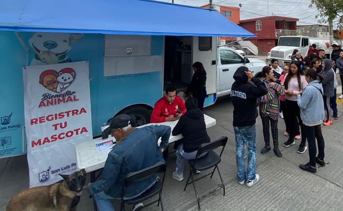Registro de mascotas en SLP. Foto: Especial