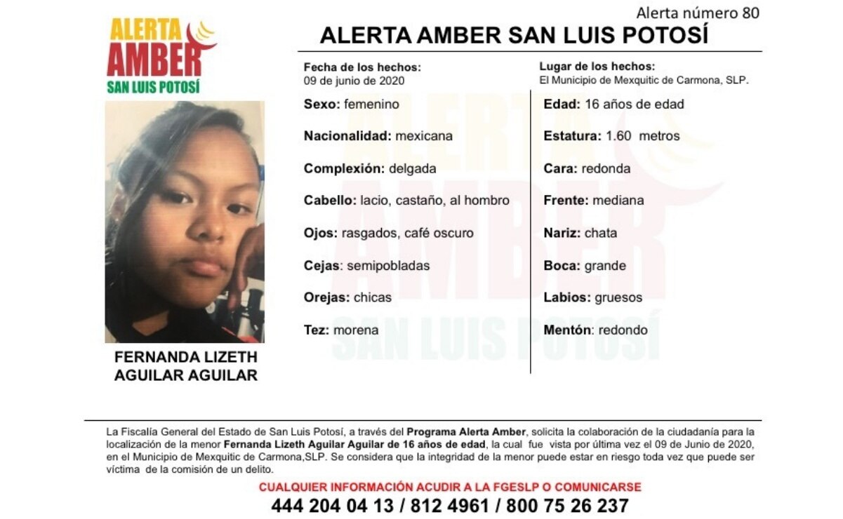 Activan Alerta Amber para localizar a Fernanda Lizeth; desapareció en Mexquitic
