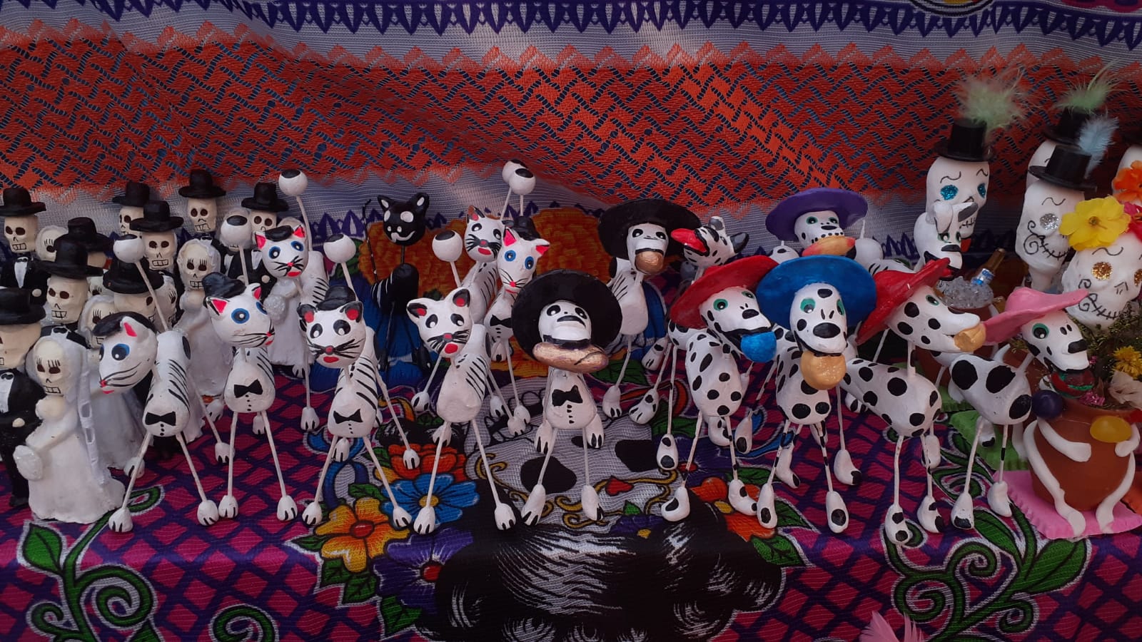 Foto: Regina Arellano