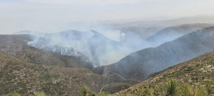 Brigada de capital de San Luis apoyará a mitigar incendio en Wirikuta
