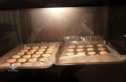 Crean alumnas de la UASLP galletas de chapulín