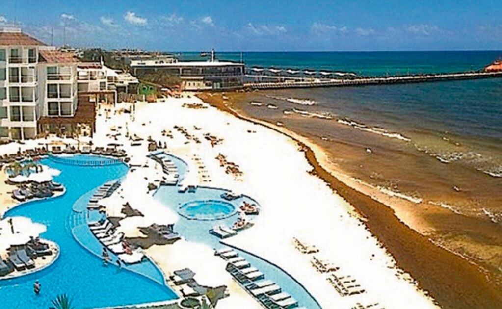 Sargazo vuelve a playas del Caribe mexicano