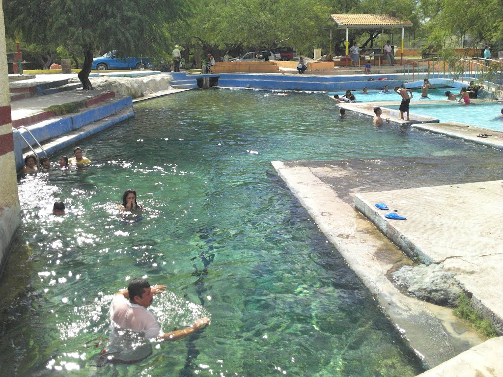 Albercas, el caldo de cultivo perfecto para miles de bacterias