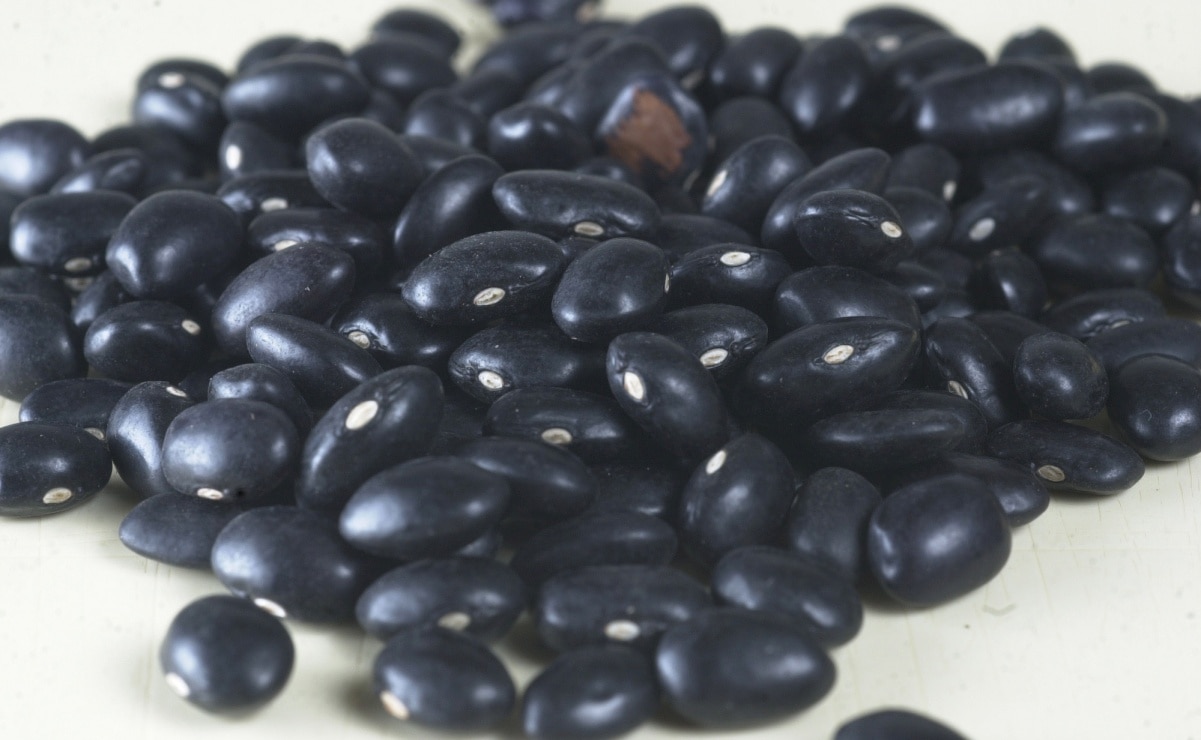 Segalmex anuncia préstamo de frijol a productores potosinos por sequía