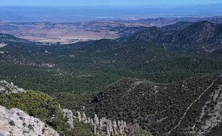 ¡A salvar la Sierra de San Miguelito! Convocan a jornada informativa para preservar este ecosistema de SLP 