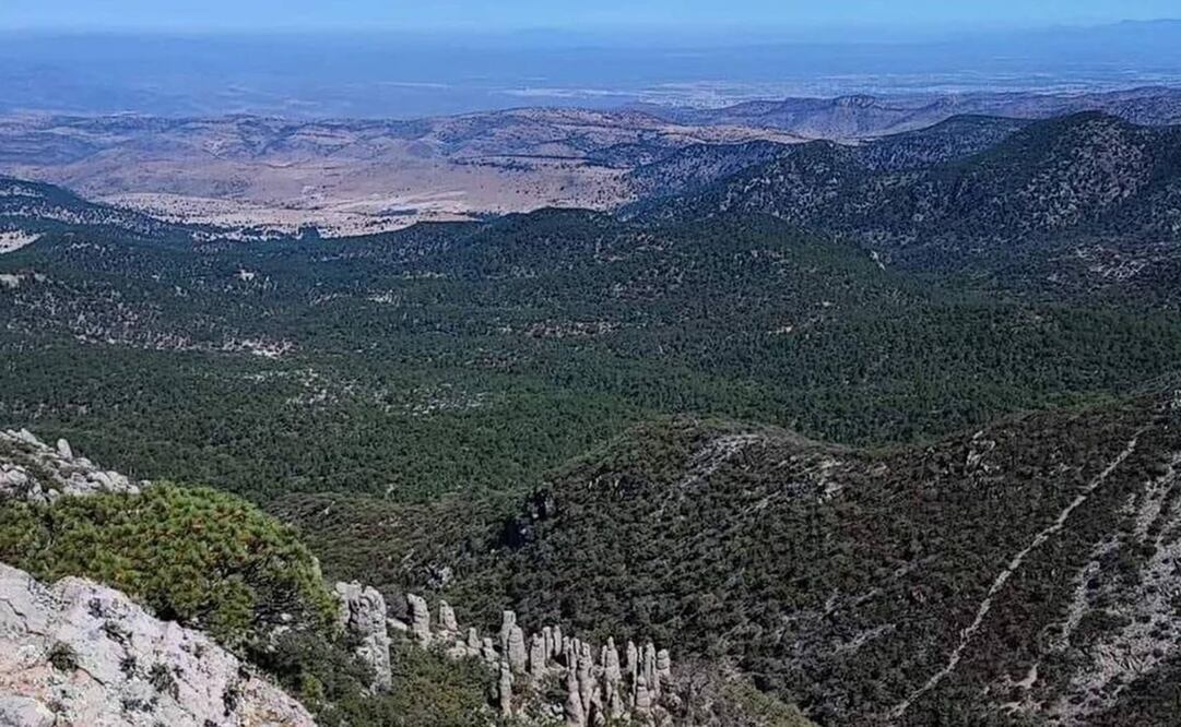 Sierra de San Miguelito, SLP. Foto: Archivo