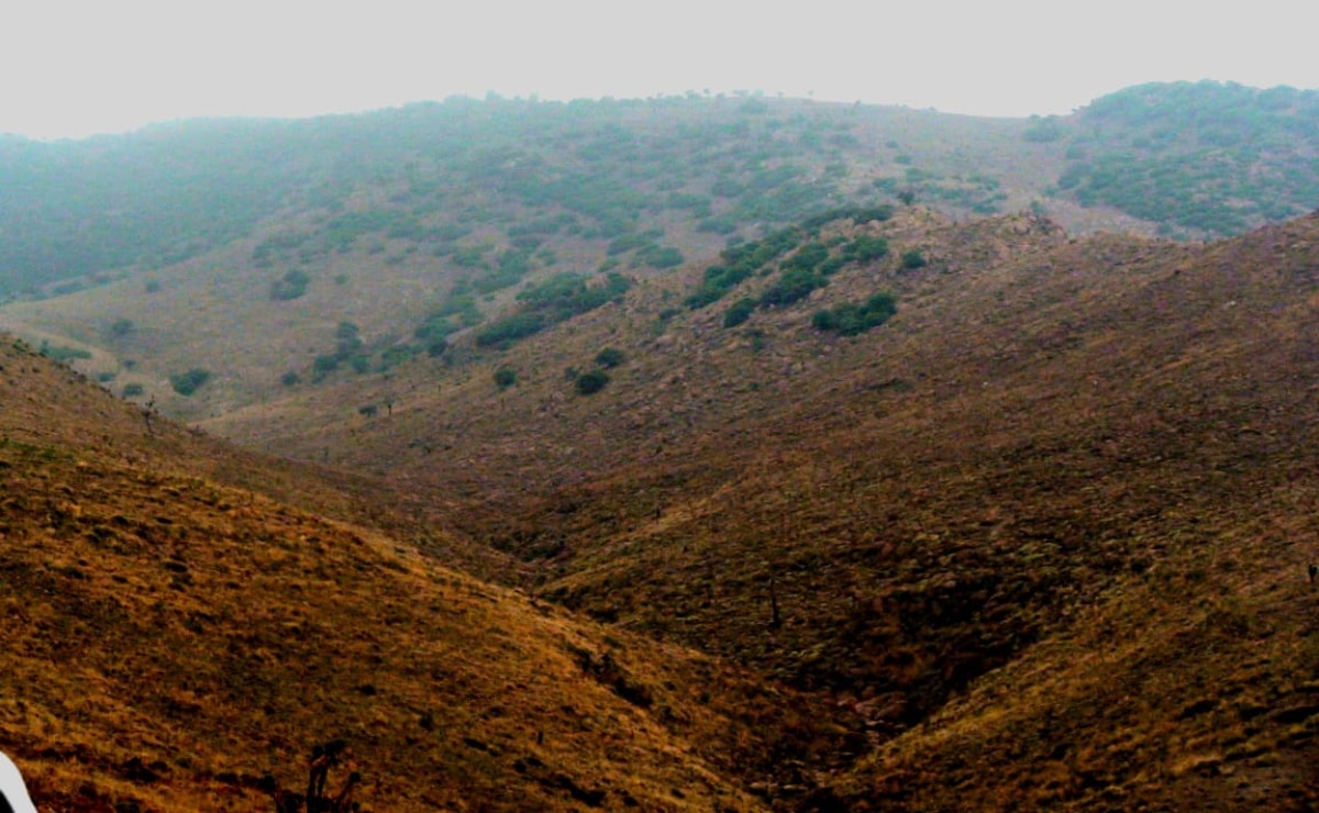 Área Natural Protegida de San Miguelito no impedirá construcción de vía alterna a zona industrial de SLP 