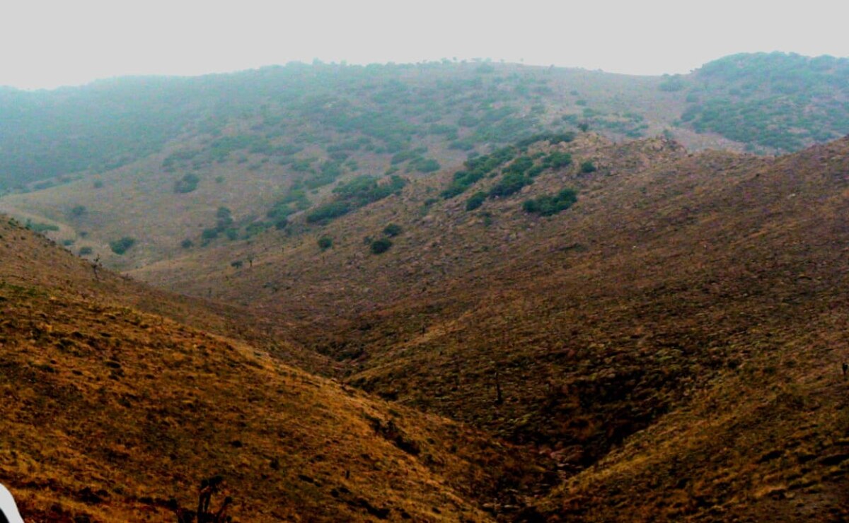 Área Natural Protegida de San Miguelito no impedirá construcción de vía alterna a zona industrial de SLP