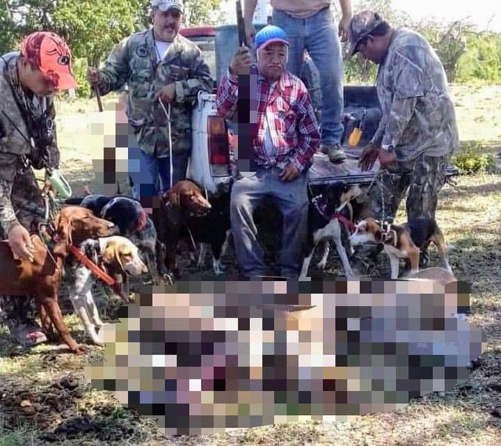 Los cazadores exhibieron sus crímenes en redes sociales