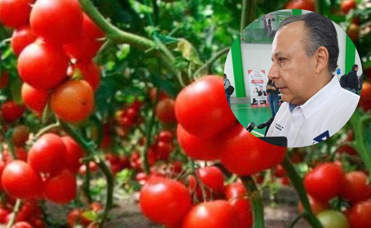 Arancel al jitomate alarma también a comercios menores de San Luis Potosí: Canaco
