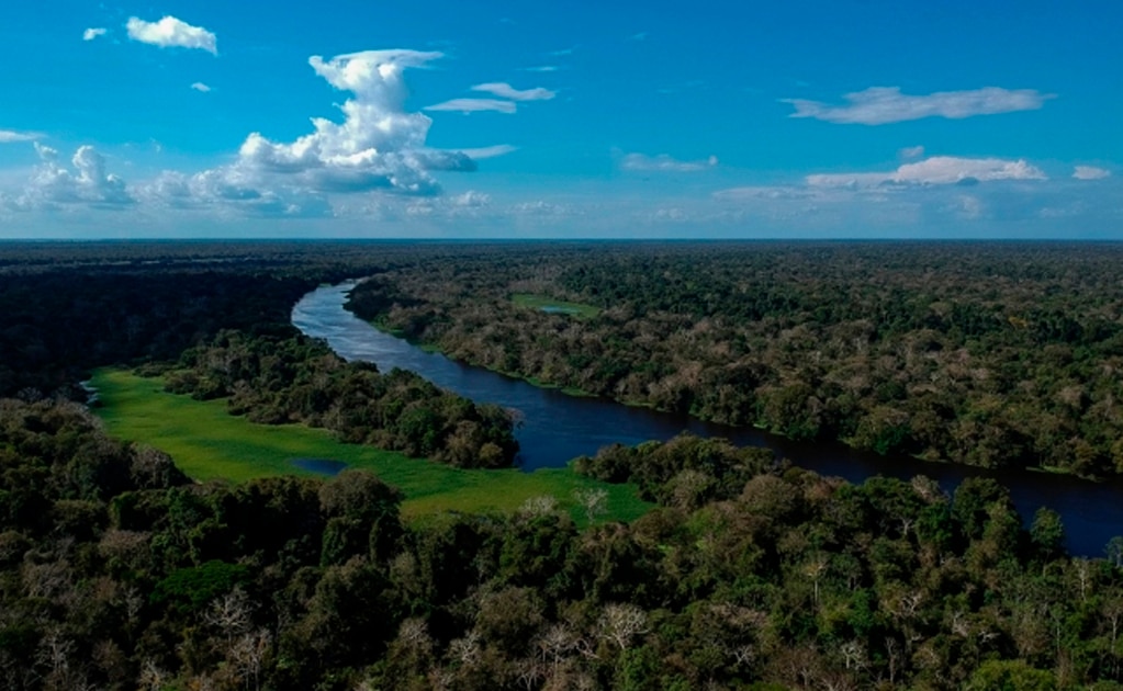Cinco cosas que debes saber sobre la Amazonia