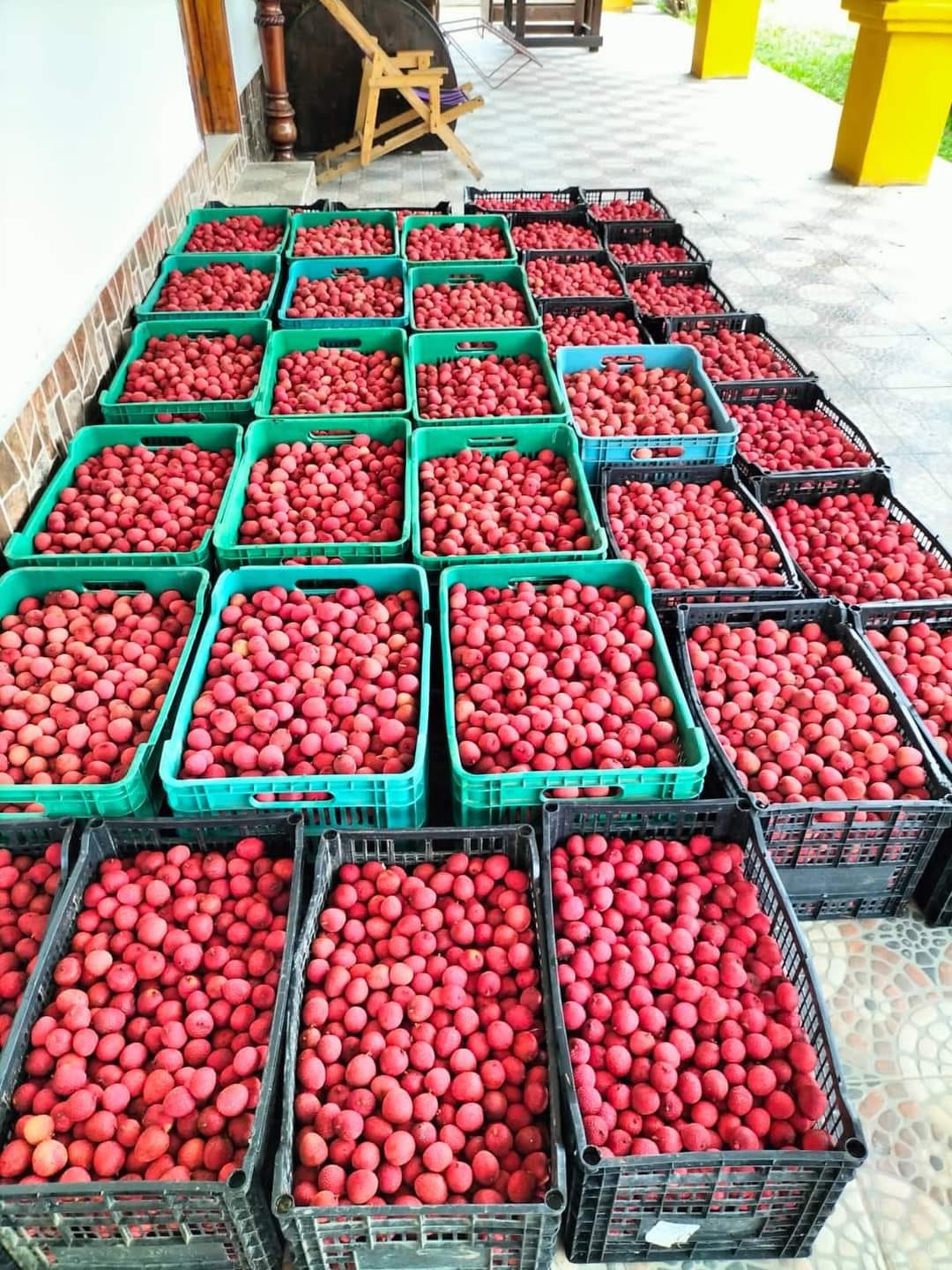 Foto: Redes sociales Huichihuayán Huehuetlán San Luis Potosí