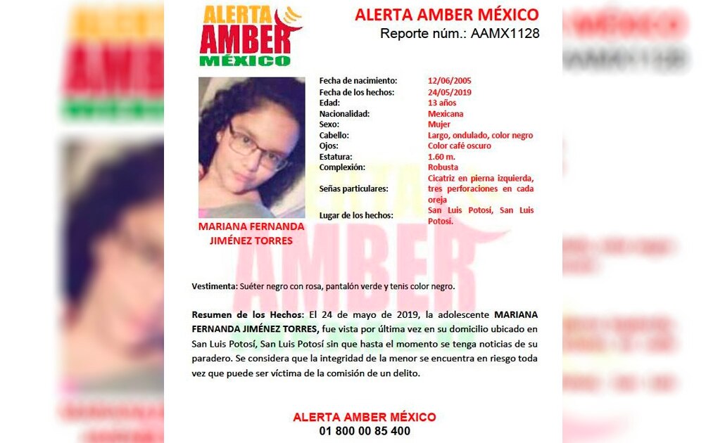 Activan Alerta Amber para localizar a menor extraviada en Real Peñasco