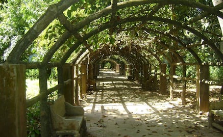 Hacienda El Gargaleote, la casa del "enemigo de Cantinflas" olvidada en la Huasteca