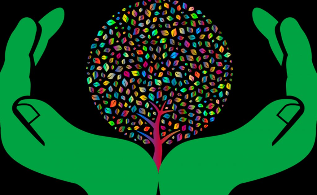 Medio ambiente, irrelevante para los mexicanos: estudio