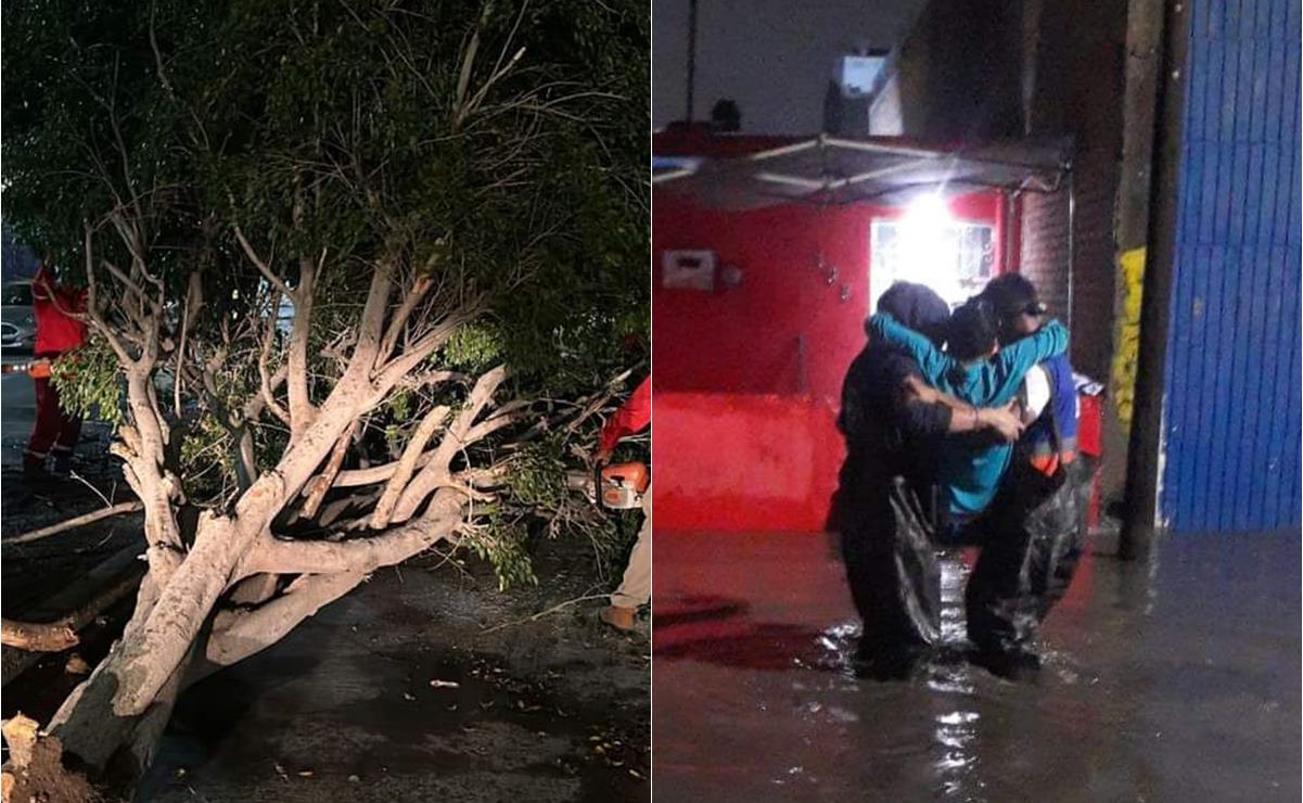 Granizo, caída de árboles e inundaciones, el saldo de las lluvias del fin de semana en la capital de San Luis. Fotos: Especiales