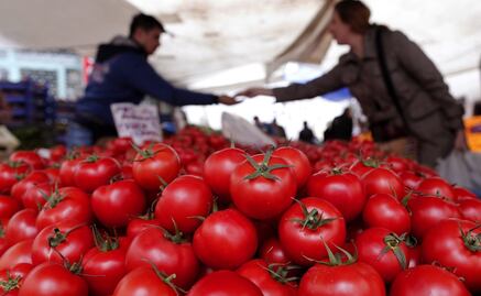 Santa Rita, sin mayor afectación por aranceles al tomate mexicano: Sedarh