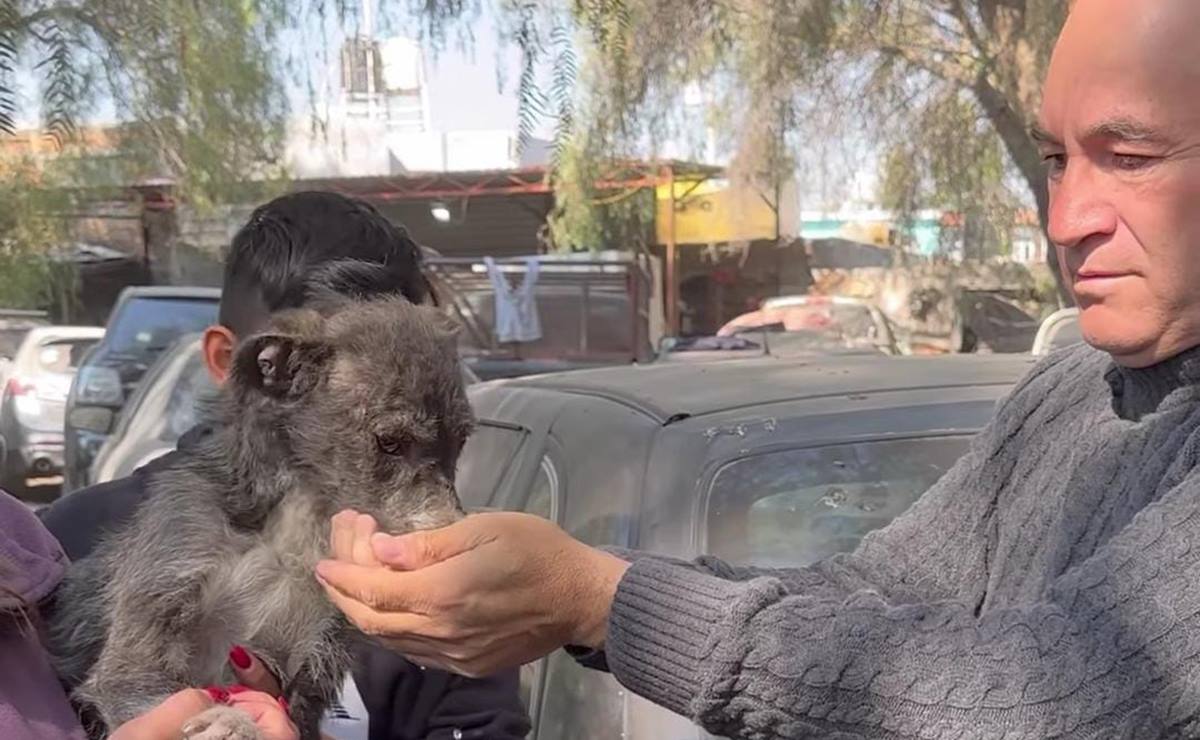 Amarrada a un cofre y sin poder moverse, rescatan a mascota que sufría maltrato animal en SLP 